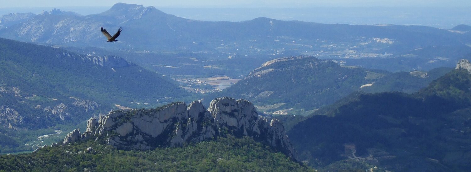 drome provencale
